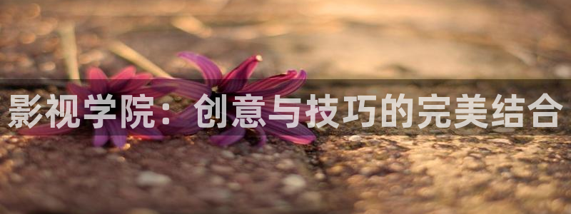 飘雪影院手机在线