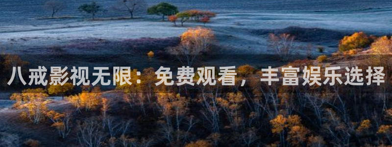 飘雪影院免费观看电视剧电影