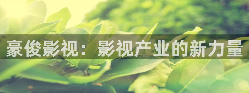 飘雪影院理论：豪俊影视：影视产业的新力量