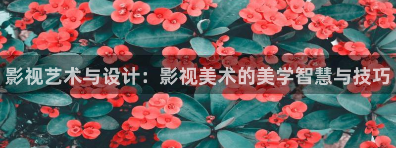 飘雪影院电影在线观看