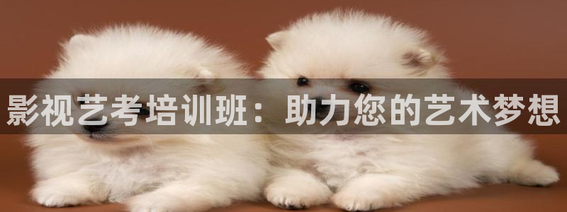 飘雪影院免费版在线播放电影官网