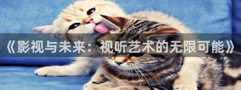 飘雪影院免费观看电视剧