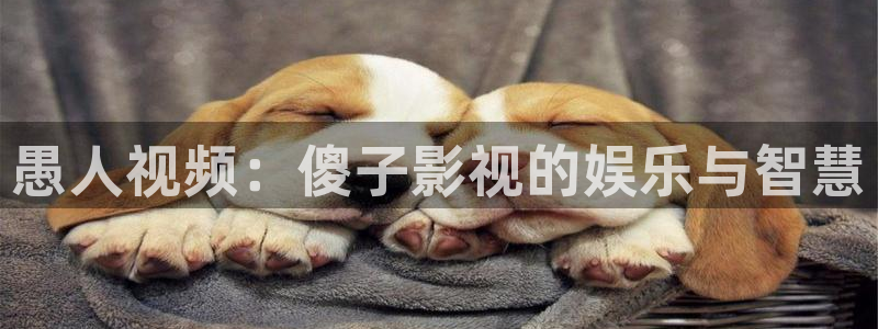 飘雪影院在线观看免费完整手机播放