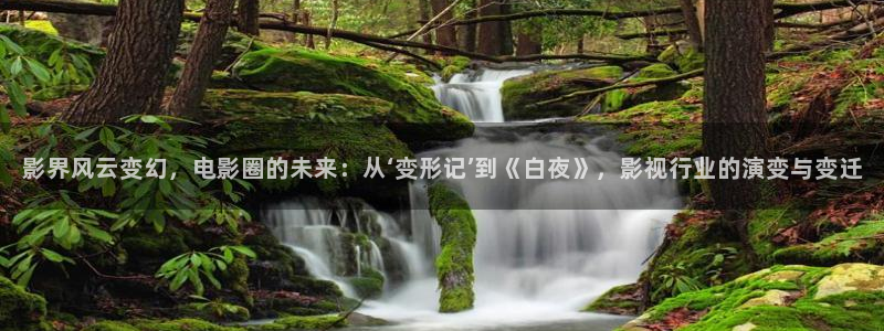 飘雪影院青春在线观看免费版：影界风云变幻，电影圈的未来：从‘变形记’到《白夜》，影视行业的演变与变迁
